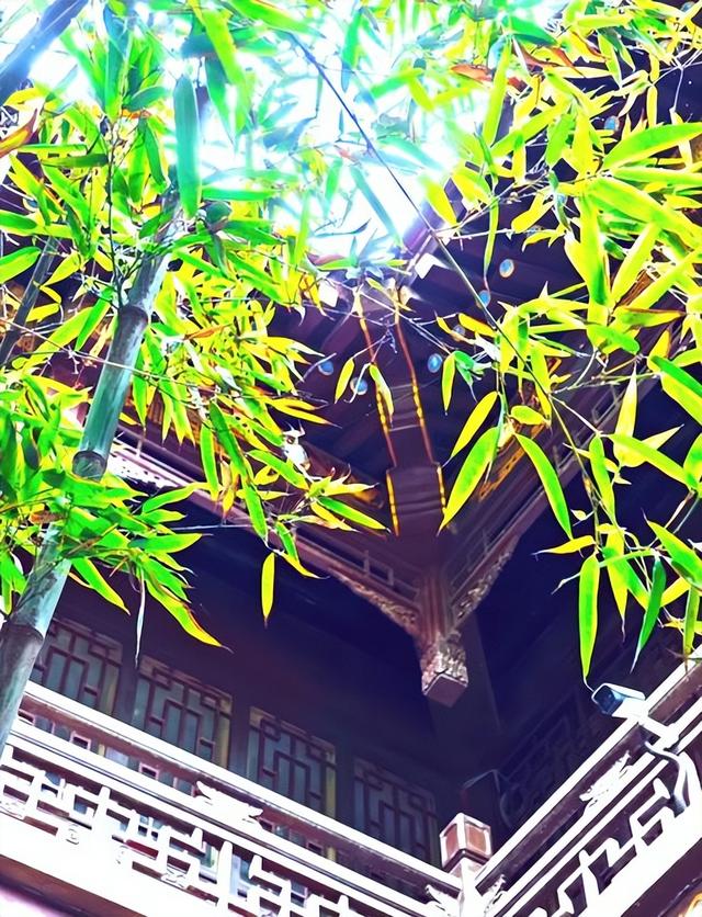 陕西最低调唐代古刹，藏在西安闹市却寂静千年，免费开放地铁直达