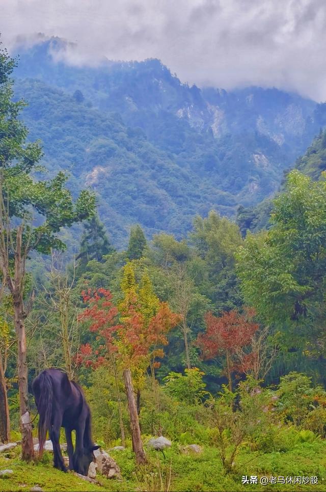耿达的天空耿达的云——耿达植物园游记