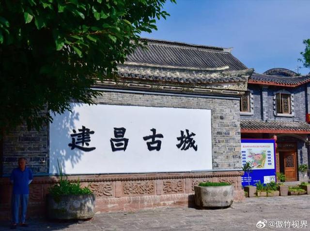 城门上奇葩的黄桷树 古城逆天了