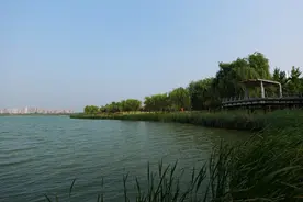 超大湖泊、清爽露营，郑州这座公园“含夏量”100%图片