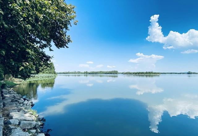 厦门未来强到可怕！一场前所未有的 “大动作”，会在今年正式启动