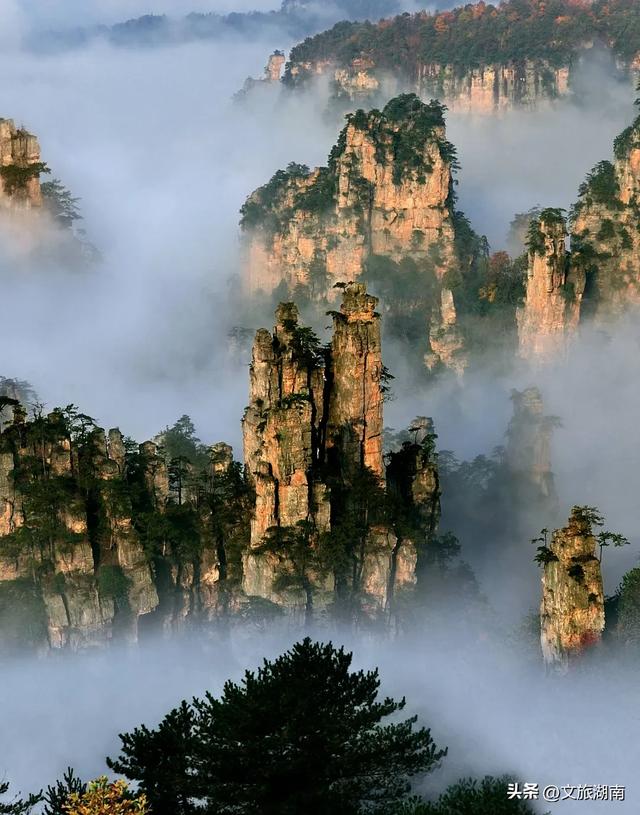 我们要改版了，你____