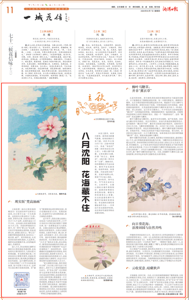 【一城花信·立秋】八月沈阳 花海藏不住