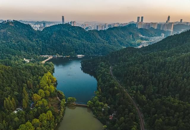 国内绿化最好的10大城市，南宁第3，昆明第6，长春垫底！