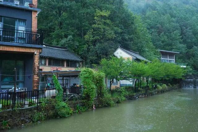 生态筑基，产业聚力，河南栾川陶湾镇打造山区康养示范样板
