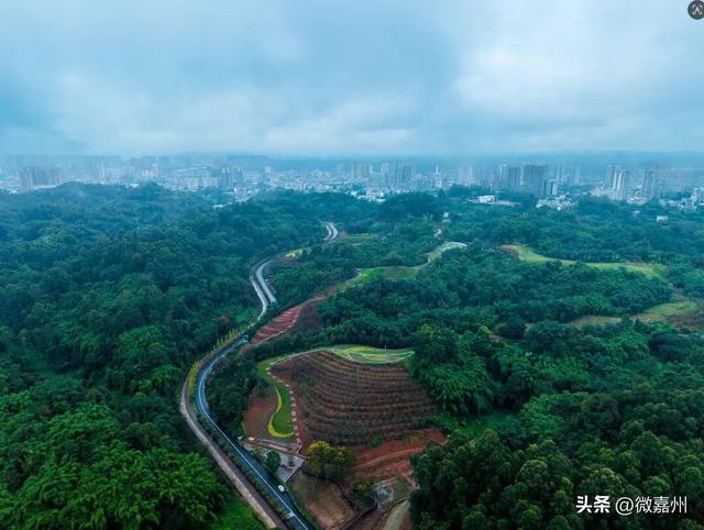 城建第一线丨海棠盛景今日开园 这个假期就到这里享受慢时光