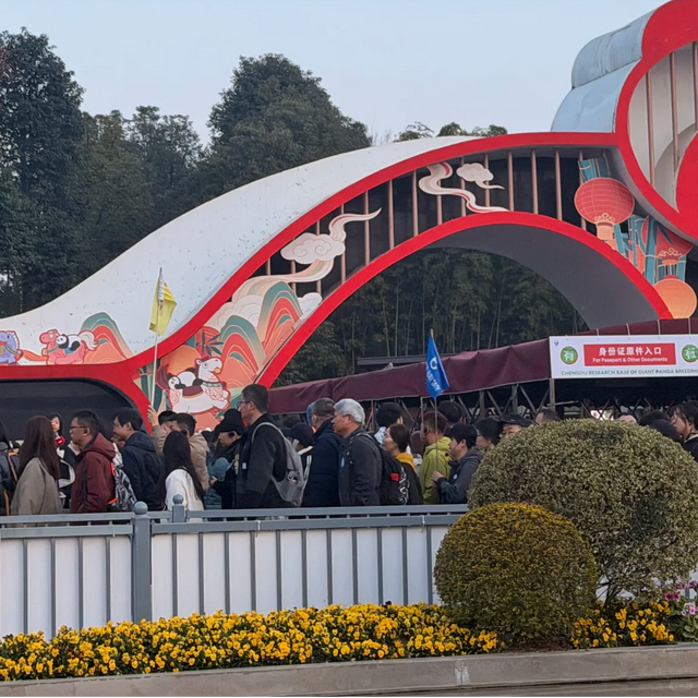 2026马年春节假期，全国最堵十大景区出炉：一眼望不到边的人头！