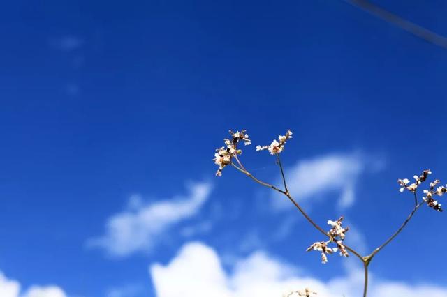 初次进藏必看！这些地方美到让人忘不了