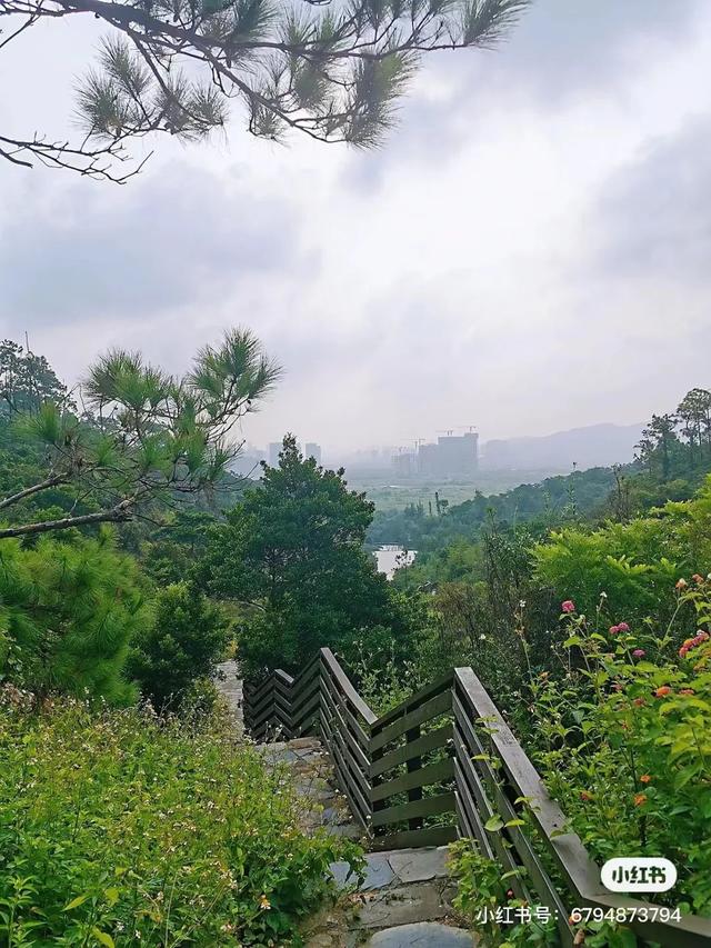 绝美！珠海小众绿道盘点！可徒步可骑行！