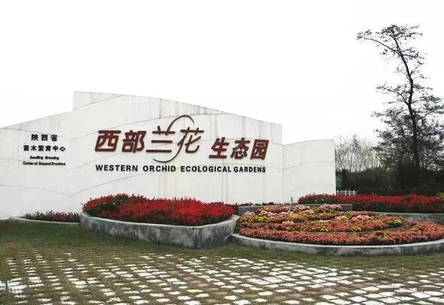 去眉县？按这些精品路线走，玩成“本地人”！