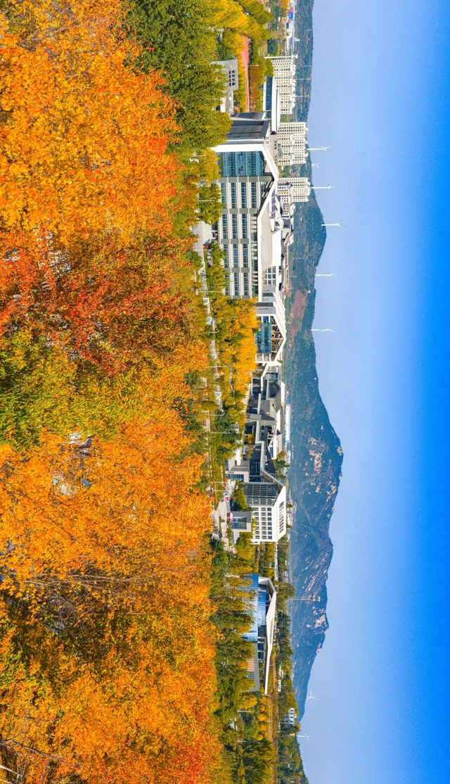 山景正宜人！青岛这里的山，已美到Next level