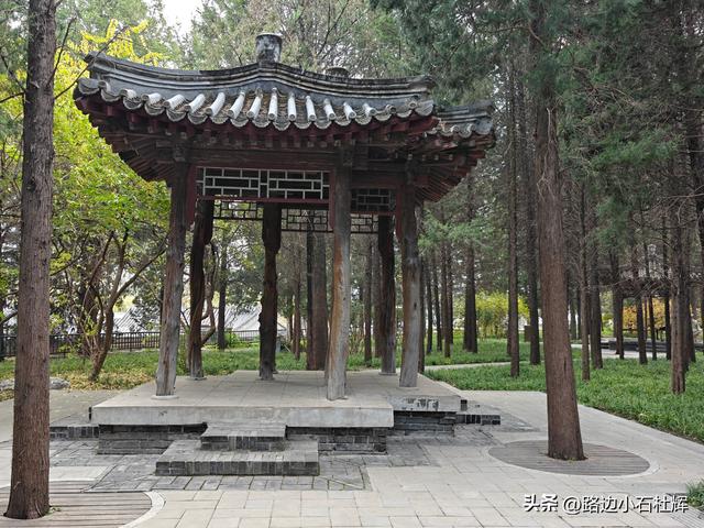 从童年嬉闹到诗意园林——一个北京土著的北海公园记忆