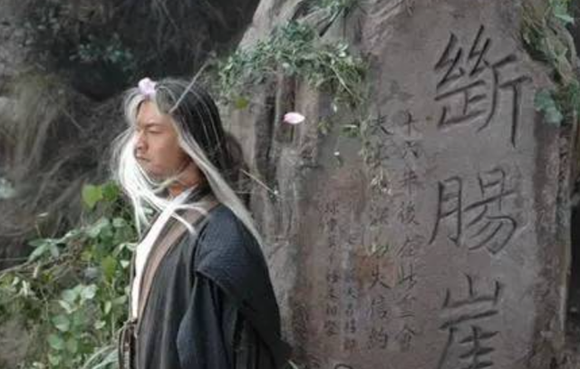 神雕后传：郭芙生下八个儿子，两个是百损道人的，六个是杨过亲生