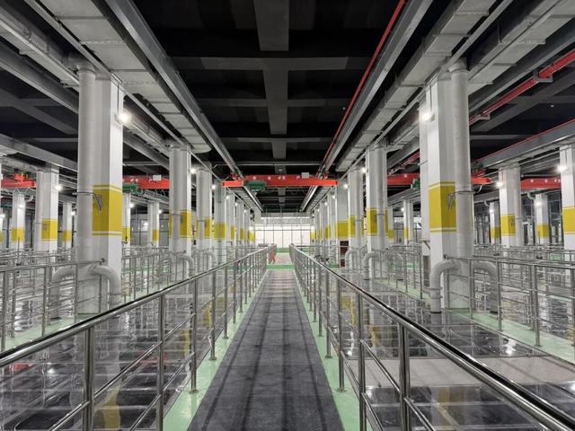 别人卷分数，无锡“卷”水质！太湖这份成绩单太硬核