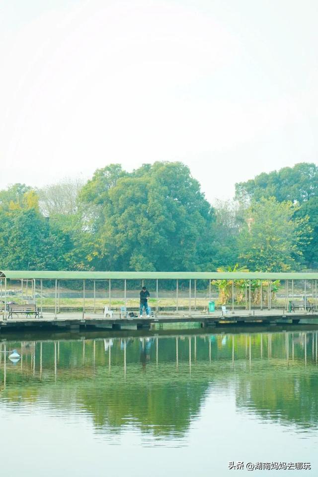 0.5H直达长株潭私藏“小白洋淀”，荻花摇曳处解锁老船厂遛娃秘境！