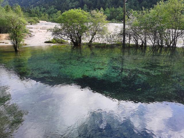 黄龙、九寨、都江堰随记Day2