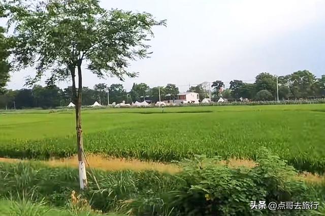 实惠！成都到都江堰旅游，2.8元公交车直达！