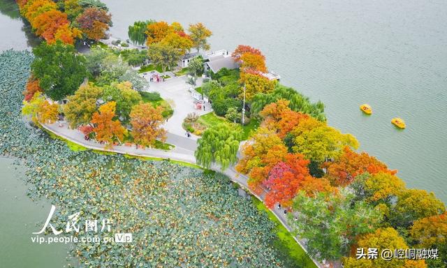 江苏南京：玄武湖秋景如画
