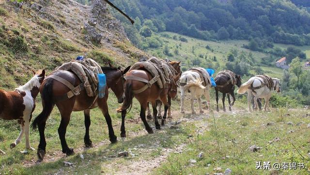 想拿“南亚”碰瓷西藏？中国直接亮出底牌，我们绝对不答应!