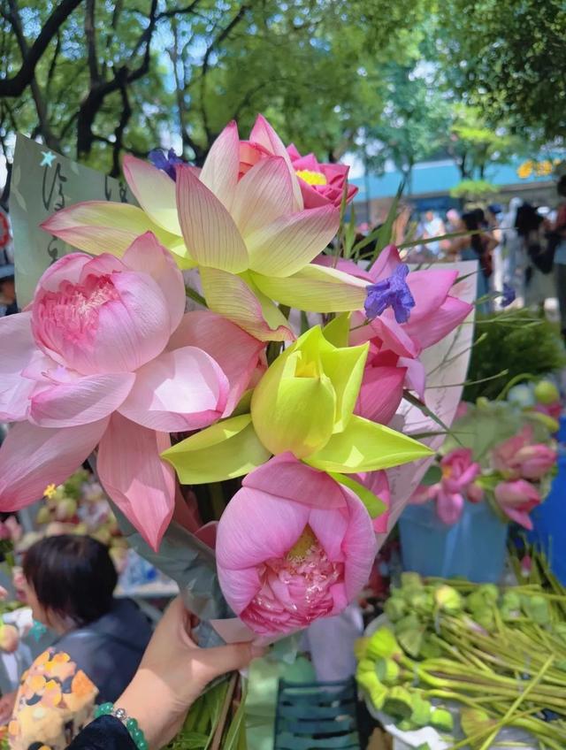 荷花市集火出圈！原来这些花是坐公交、地铁来的