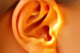 耳鸣像蝉叫停不下？杞菊地黄丸疗效升级，听力改善效果显著图片