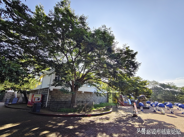 中山公园坐索道的这个地方，日寇曾在此建造大型“忠魂碑”