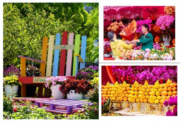 重磅！宝安迎春花市、新春花展要来啦！