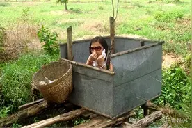 印度大搞“厕所革命”，5天建3.2万个，最后都去哪儿了？图片