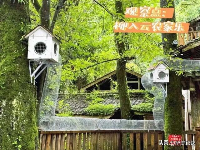 10月4日，在天台后山·松鼠乐园与“林间精灵”共赴一场山野之约！
