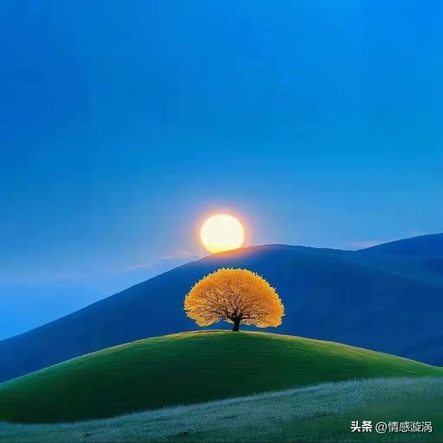把这段话抄下来，够你享用一辈子，错过了，就很难翻到了