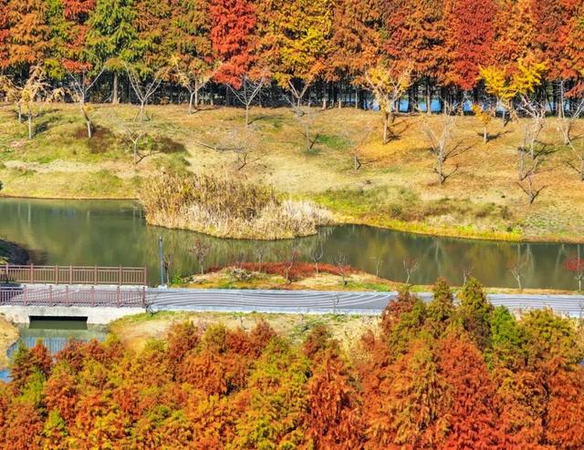 超出片！在这里一键解锁限定杉色