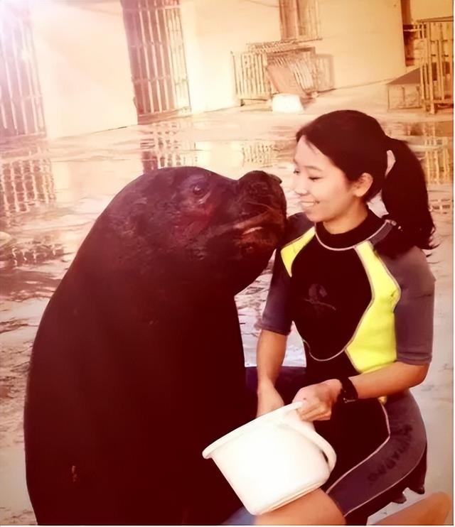 “华南第一女训鲸师”消失的十年：被白鲸拖下水后，她选择亲手拆穿海洋馆的残酷真相