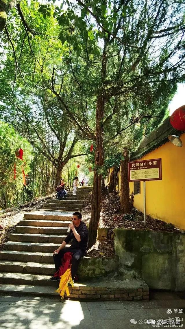 著名的赏李花胜地！这个书圣王羲之后裔居住地的千年古村你可去过