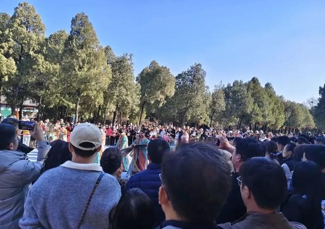 车马盈门！大年初五，运城各景区热闹非凡！