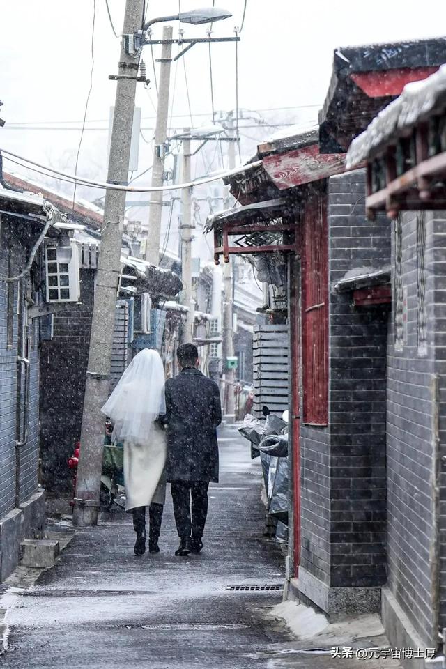 北京下雪后天寒地冻数九寒天大雪小雪冬至又一年注意保暖