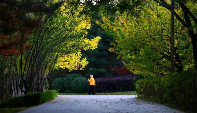 赏“秋”正当时！来太原这个公园遇见最美秋日