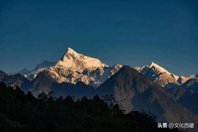 甲子西藏·文旅新章 | 十年蝶变，墨脱绽放旅游富民新画卷