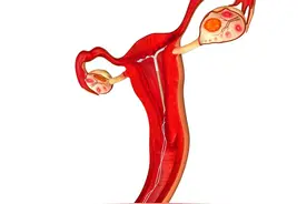 节育环可以终身不取？医生忠告：过了期限不取，身体会遭罪图片