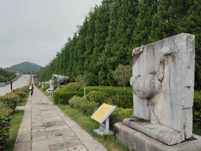 游走乾陵.半部唐史