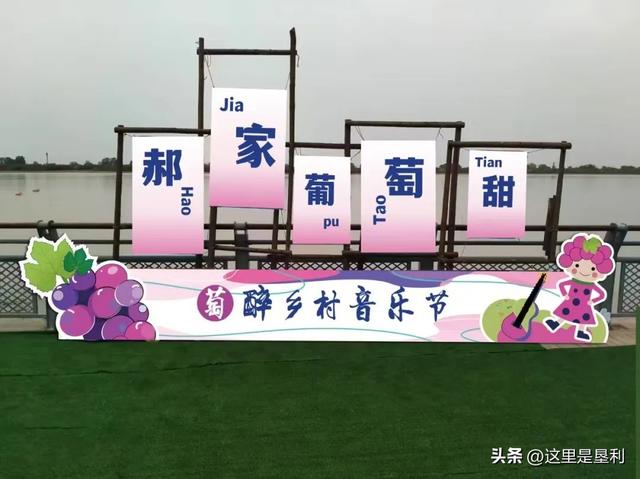 摘葡萄·听音乐·品美食·赏烟花——8月8日，相约最美郝家！