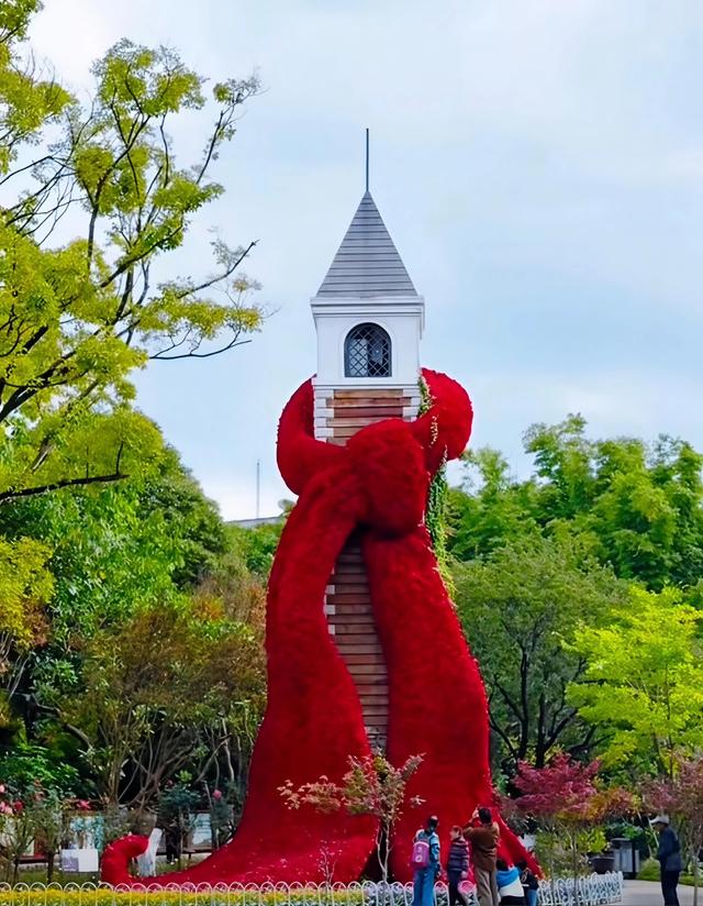 11月第一个周末，雨中翠湖公园