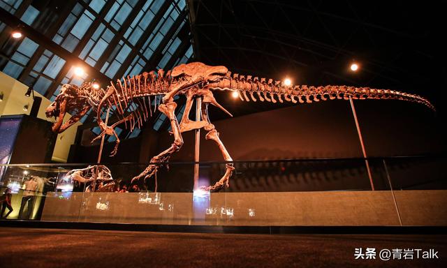 触摸砂纸质感鲸皮，见证恐龙生死搏斗，这座博物馆让孩子爱上自然
