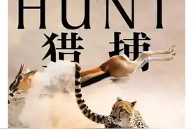 我找全了！13部BBC神级纪录片！孩子看完知识暴涨、格局炸裂图片