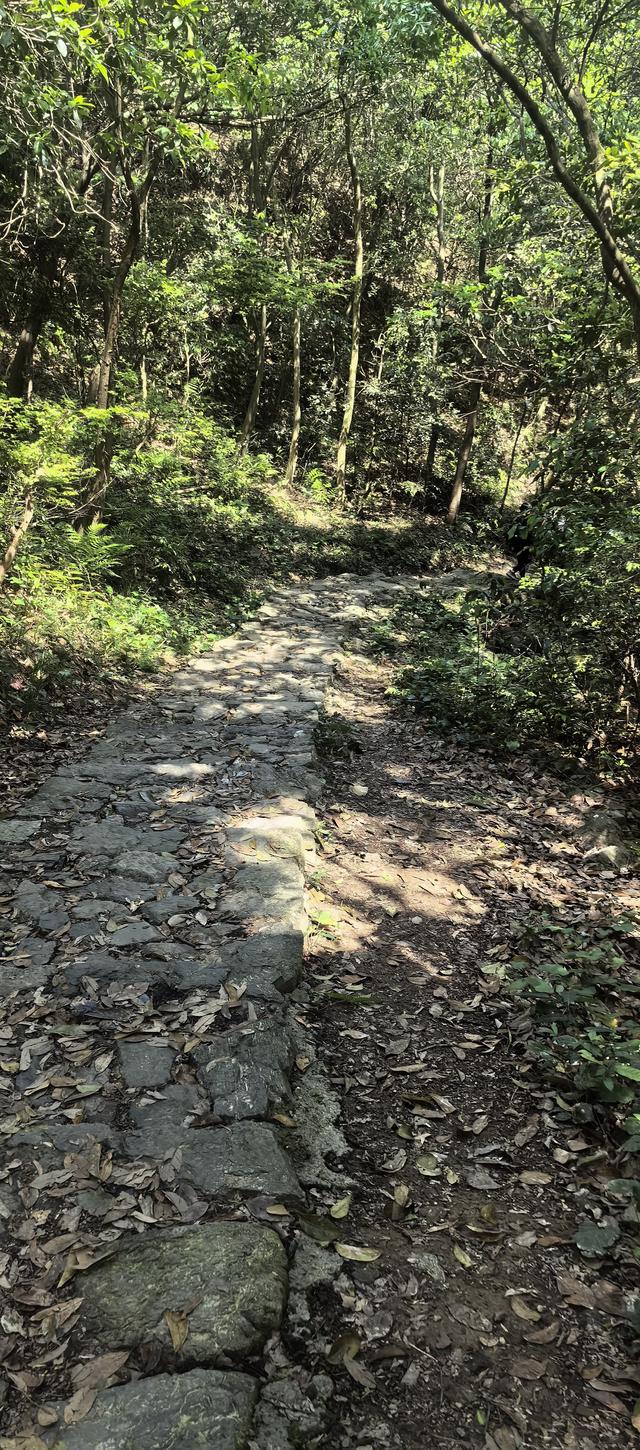绍兴梅坞古道一条 对新手小白特别友好的线路