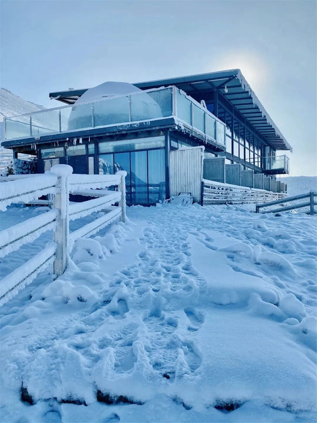 在雅安！！这么美的雪景我当然狠狠宣传啊啊啊！！