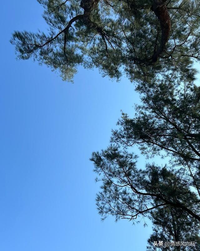 不要让任何人零成本接近你：保护自己，建立健康关系的智慧之道