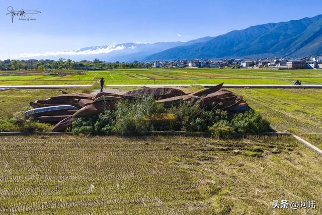 洱海边惊现一堆破船,锈迹斑斑却野趣盎然,已经被我轻松登顶拿捏