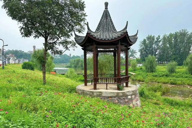 河南汝阳：邂逅杜康古镇，共赴菊海之约