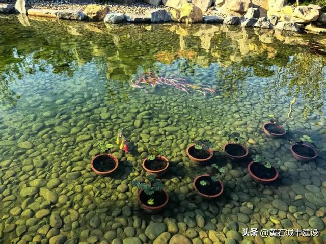 在鄂州 投资300万元！这座黄石展园正式建成