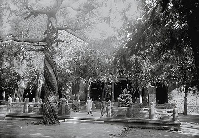 120 年前的泰山老照片，原来百年前的登山路是这样的！